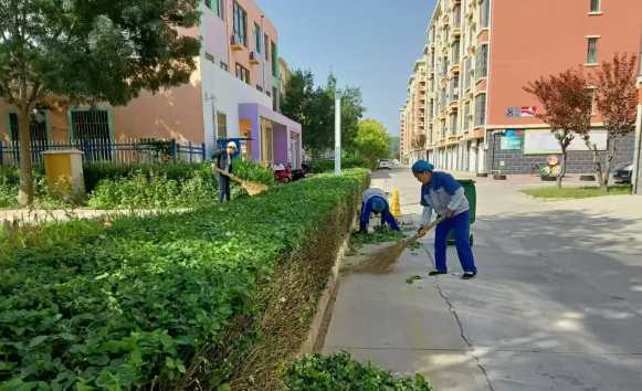 泰华学府